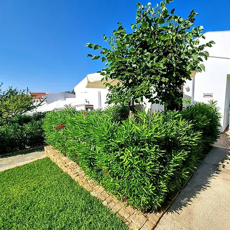 Ktima Amitsa Sarti