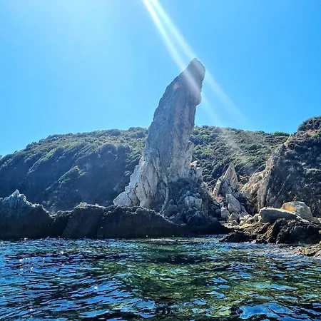 Ktima Amitsa Sarti